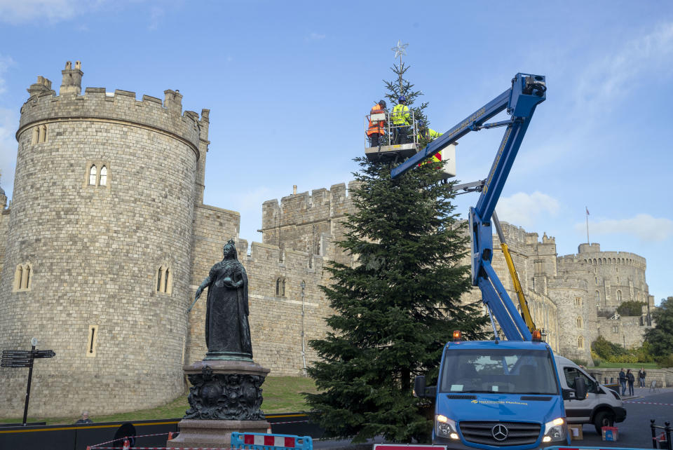 Lights are installed onto the Christmas tree outside Windsor Castle, Berkshire, ahead of the Christmas Lights Switch on and Lantern Procession on November 17, by Staff from Lamps and Tubes illuminations Ltd working for the Royal Borough of Windsor and Maidenhead. (Photo by Steve Parsons/PA Images via Getty Images)