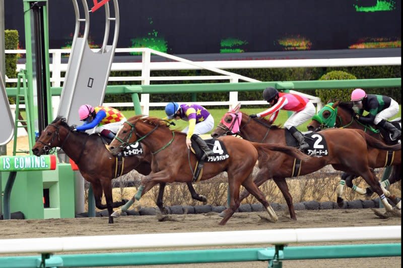 T O Password wins Saturday's Fukuryu Stakes in Japan, earning a guaranteed spot in the Kentucky Derby in just his second career start. Photo by and courtesy of Katsumi Saito