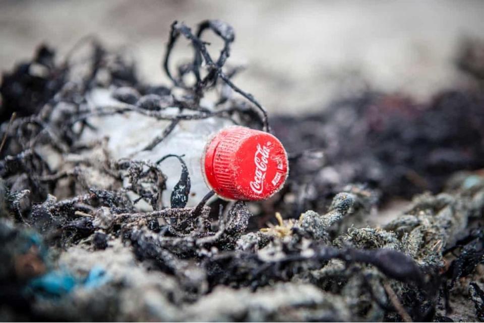 An audit from Break Free From Plastic&nbsp;named Coca-Cola as the world’s number one plastic polluter (Will Rose/Greenpeace)