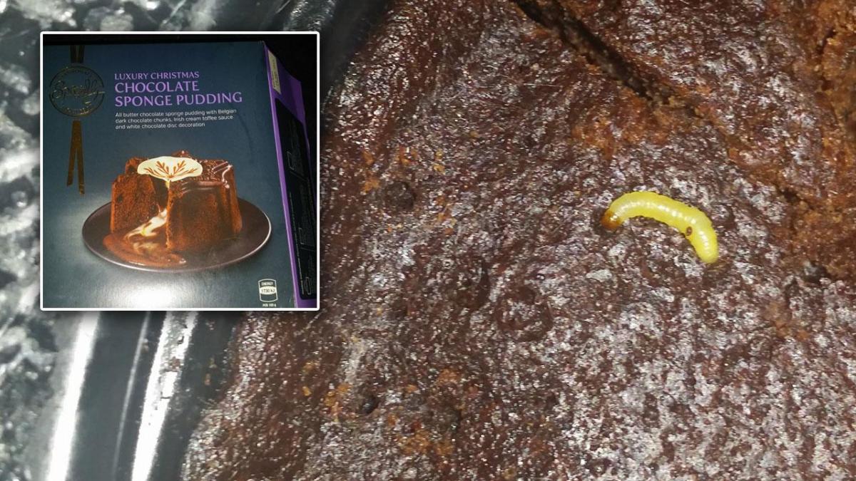 I Was Horrified Woman Finds Live Maggots Inside Aldi Chocolate Cake 4956