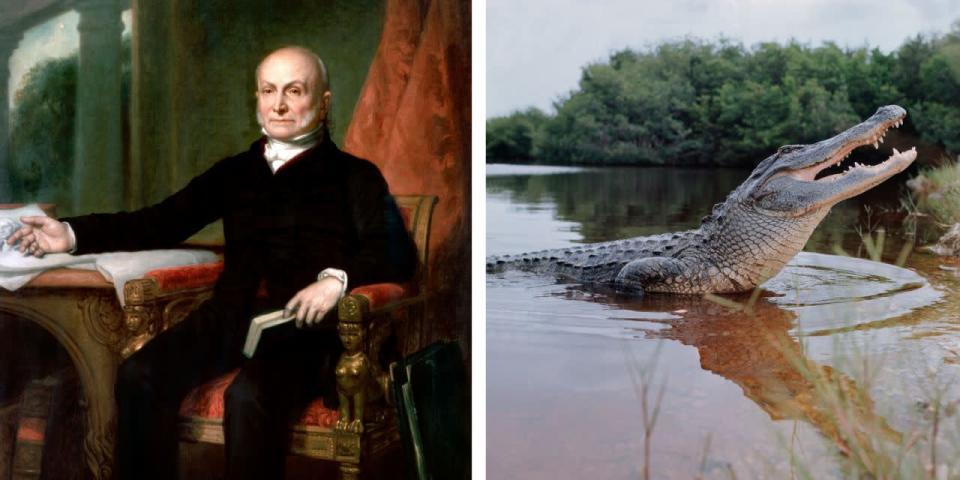 John Quincy Adams He aquí una manera de distinguirse de el resto de los presidentes: tener un cocodrilo en el baño de la Casa Blanca. Aparentemente fue un regalo del marqués de Lafayette.