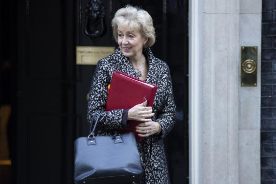 Leadsom’s leadership hopes have been revived (Getty)