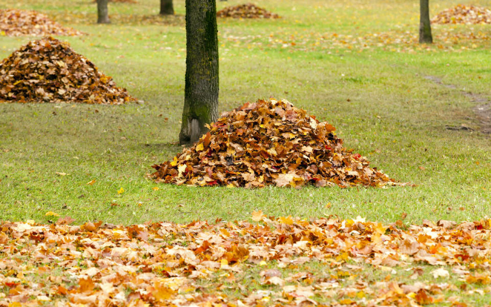 Less leaves in landfills = less methane gas.