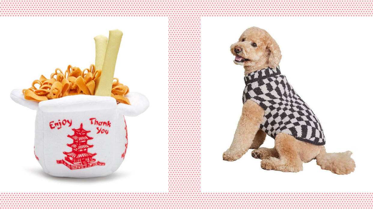 a dog sitting in a sweat and a chinese takeout dog toy