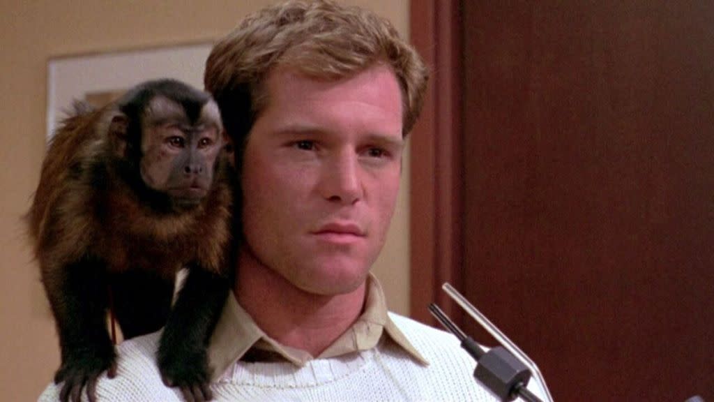 Monkey Shines Streaming: Watch & Stream Online via Amazon Prime Video