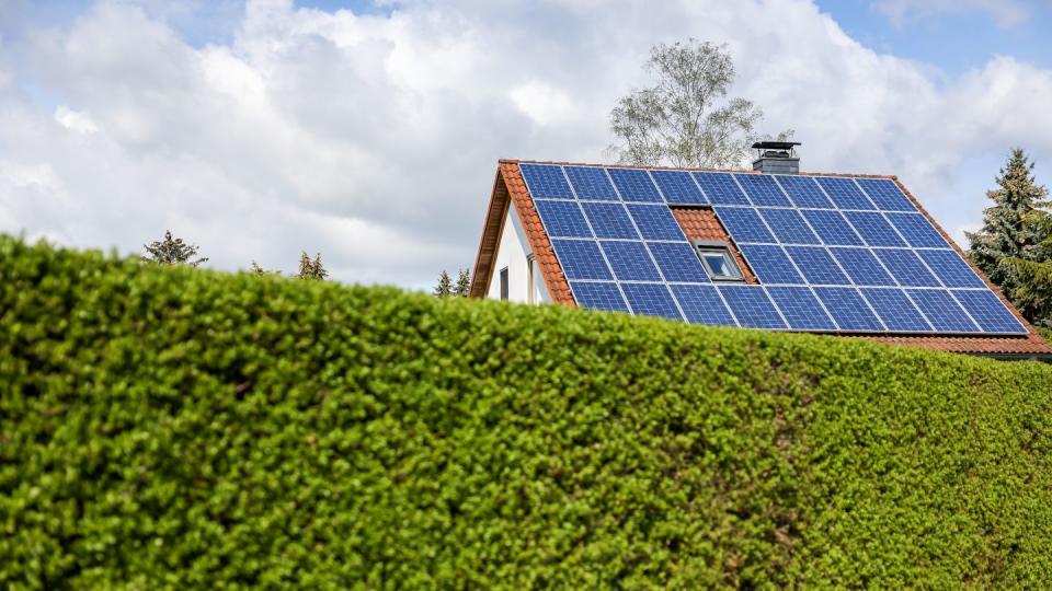 Wie hoch darf eine Hecke sein? Gerade der Bewuchs und Abstand von Anpflanzungen zur Grundstücksgrenze führt oft zu Streit zwischen Nachbarn.