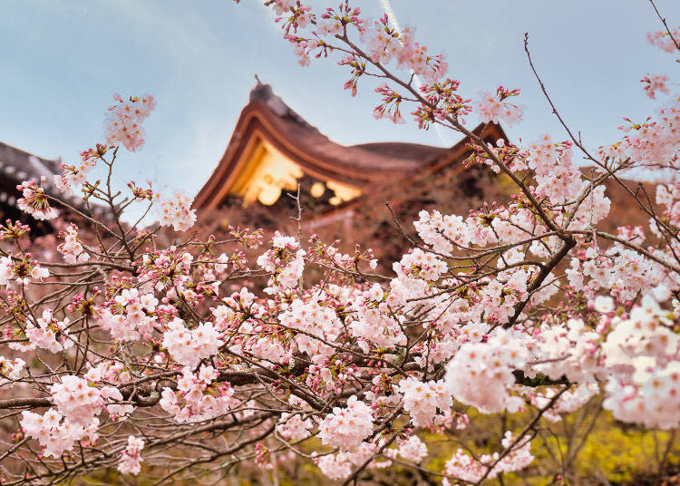 The ancient temple is a World Heritage Site symbolic of Japan