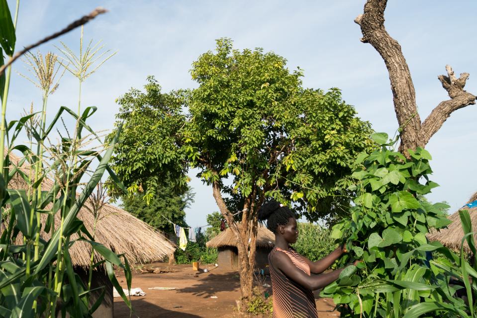 Since her son, Nelson, was born, Stella Keji, 18, has not been able to go to school. Instead she spends her days gardening and cooking in her family’s compound in the Bidi Bidi settlement, June 26, 2019.