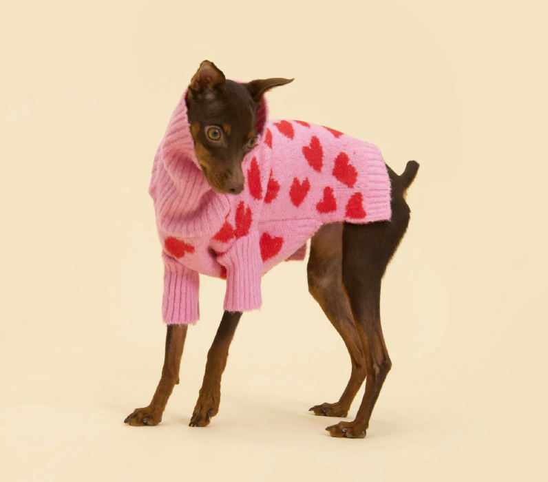 valentine dog sweater, valentines, small dog sweater, littlebeast