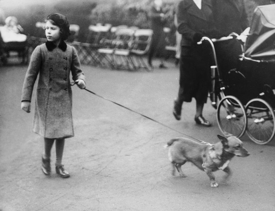 1936: Princess Elizabeth walks one of her corgi dogs in London's Hyde Park in 1936.