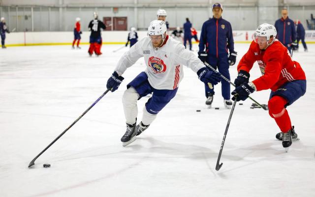 With a healthy Aleksander Barkov at center, Florida Panthers 'ready to  finish strong' - Caplin News