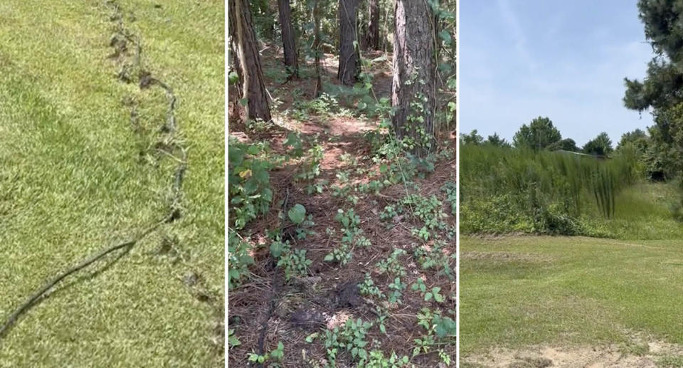 Three photos in a row showing the path of the power cord through the lawn and a wooded area to the neighbour's home