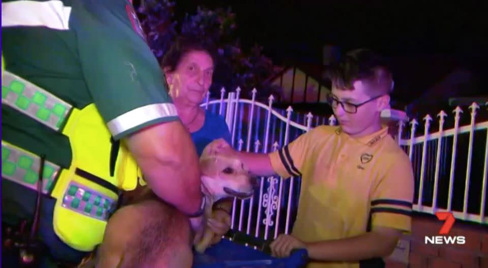 Gino also managed to rescue the family dog from the backyard. Source: 7 News