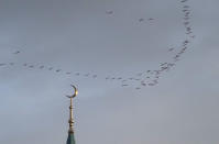 Geese fly over the Kul Sharif Mosque during the Eid al Fitr prayer in Kazan, Russia, Thursday, May 13, 2021. Millions of Muslims across the world are celebrating the Eid al Fitr holiday, which marks the end of the month-long fast of Ramadan. (AP Photo/Dmitri Lovetsky)