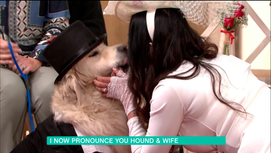 Elizabeth Hoad heiratete ihren Hund Logan in einer bizarren TV-Zeremonie. Foto: Itv