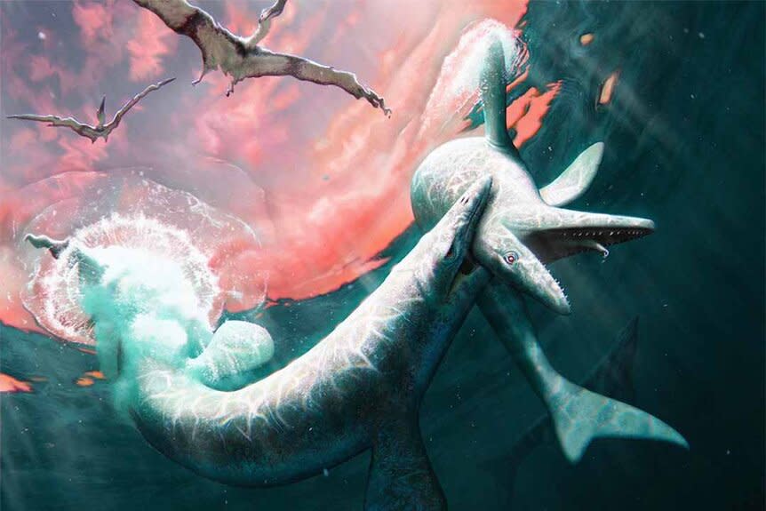 A reconstruction of two Jormungandr walhallaensis mosasaurs fighting in the ocean as flying dinosaurs soar overhead.