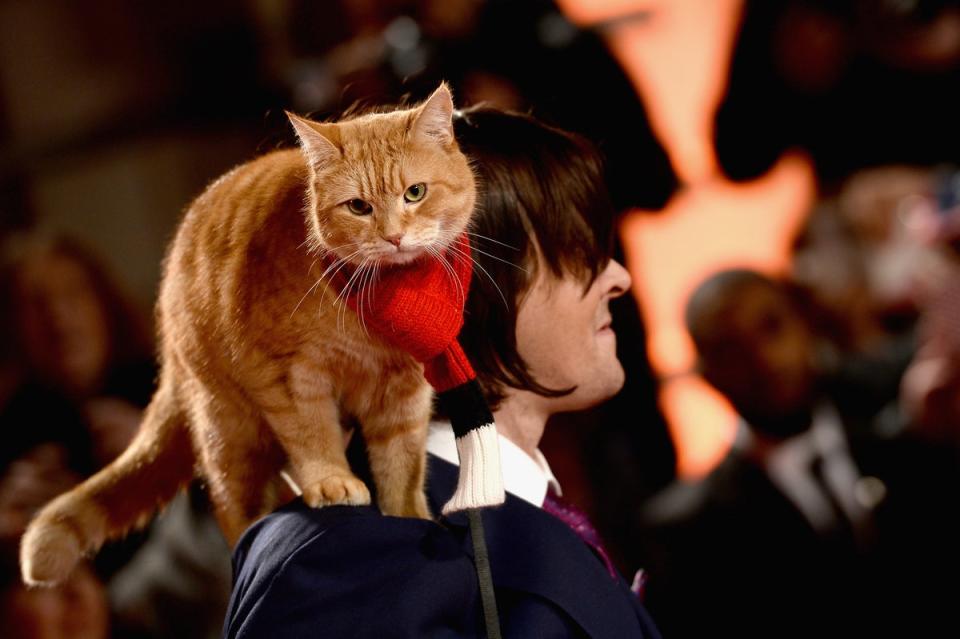 James Bowen and Bob the cat attend the UK Premiere of 