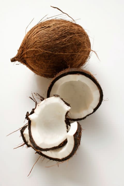 Coconut