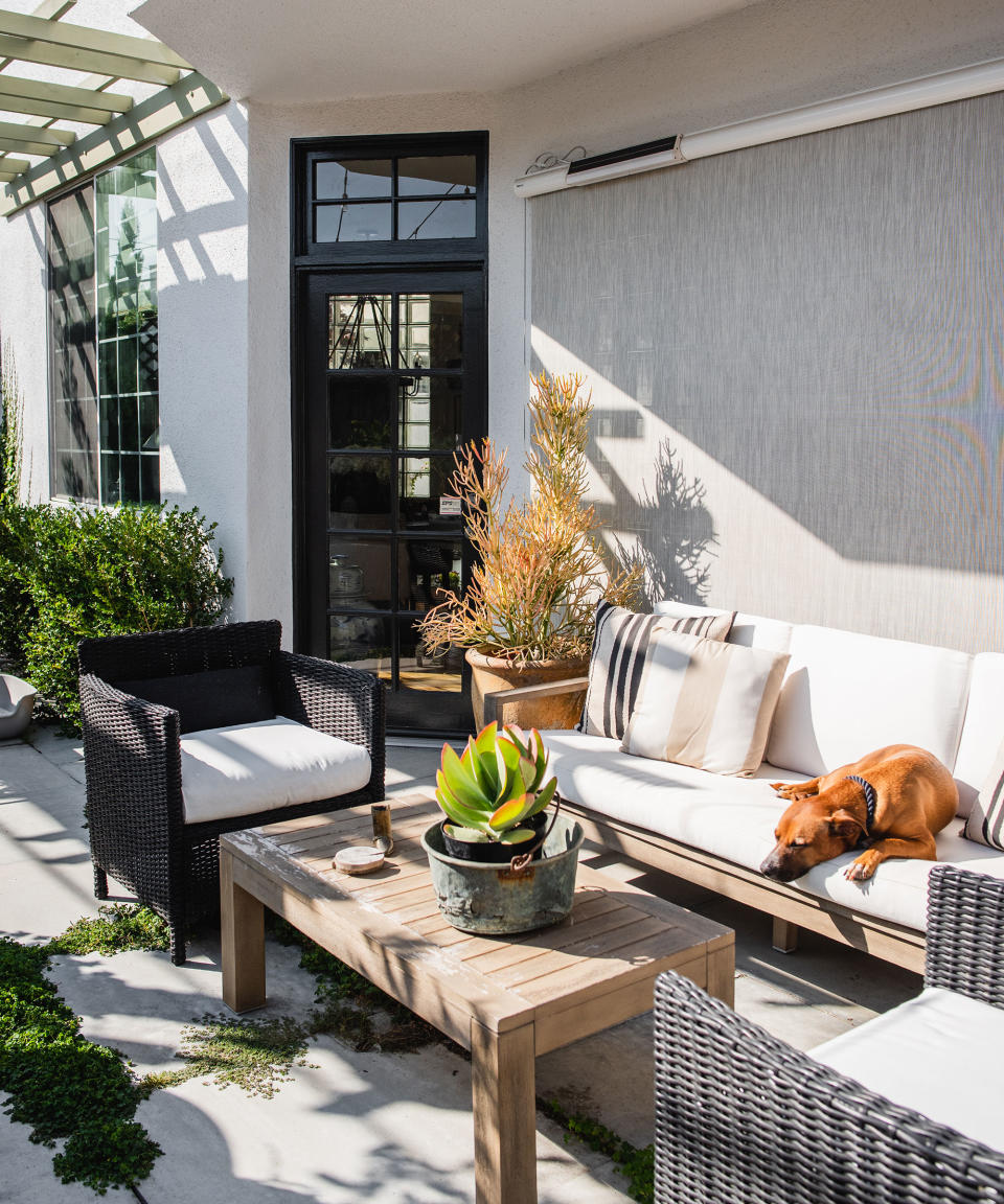 A sunny small back yard with large gray pavers and a sofa and chair set around a wooden coffee table, with a dog lying on the sofa.