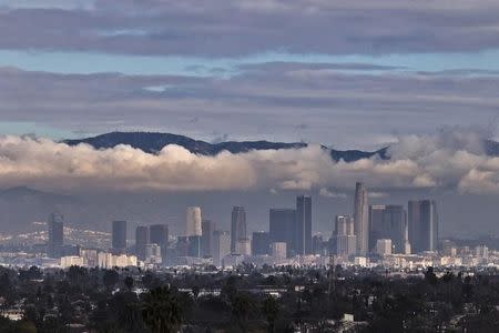 The San Gabriel Mountains are seen in the background during cloud cover over the Los Angeles skyline on January 26, 2013. REUTERS/Adrees Latif