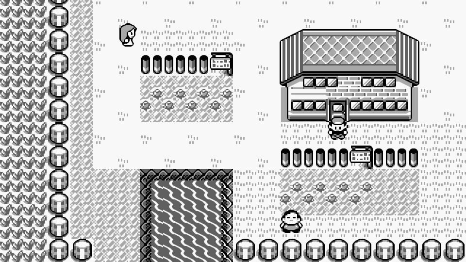 Pokemon Red and Blue