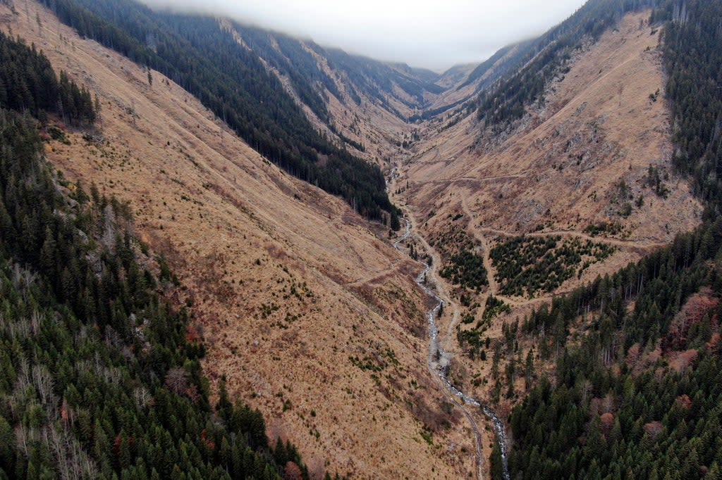 Romania Forest Attack (ASSOCIATED PRESS)