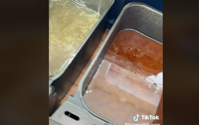 TikToker shares air fryer cleaning hack