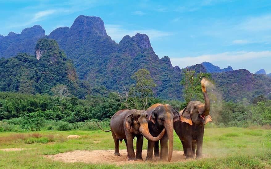 Despite its many attractions, visitor numbers to Thailand have been trickling off