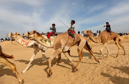 Jockeys, most of whom are children, compete on their mounts during the 18th International Camel Racing festival at the Sarabium desert in Ismailia, Egypt, March 12, 2019. Picture taken March 12, 2019. REUTERS/Amr Abdallah Dalsh