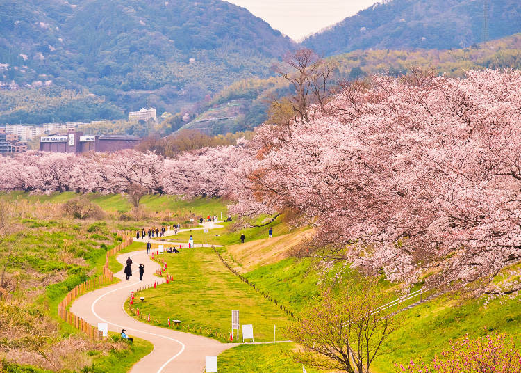 First-time visitors will often Tweet, "What an amazing place!"