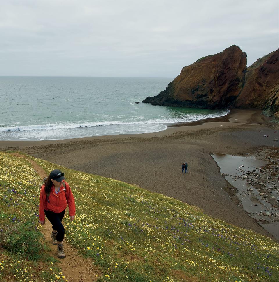 From downtown San Francisco you can literally walk to a network of hiking trails in the Marin Headlands at the northern end of the Golden Gate Bridge.