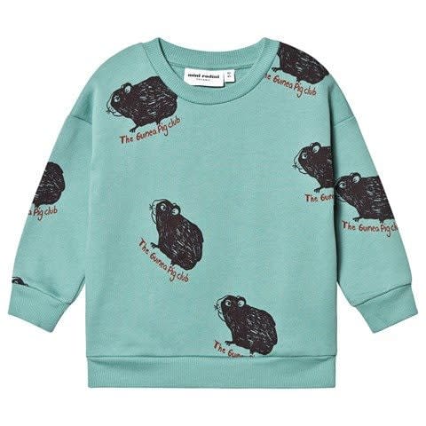  Mini Rodini Green Guinea Pig Sweatshirt - Credit: Alexa and Alexa