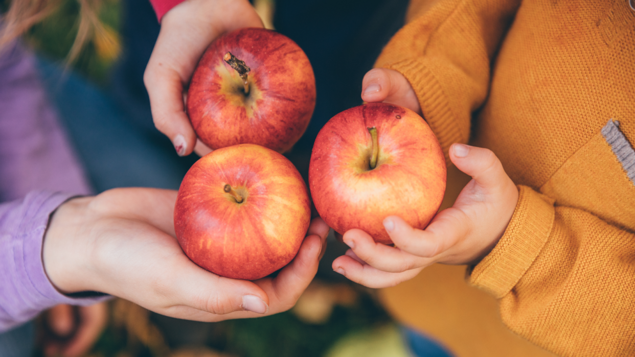 How to safely go apple picking this fall