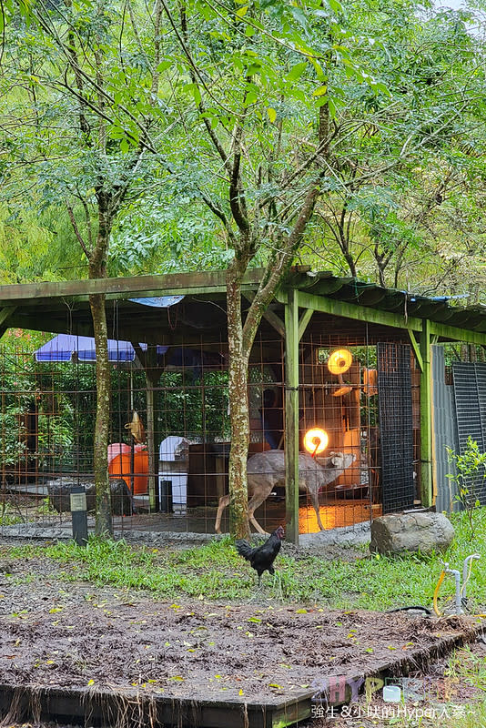 宜蘭員山｜鳳梨屋水上莊園