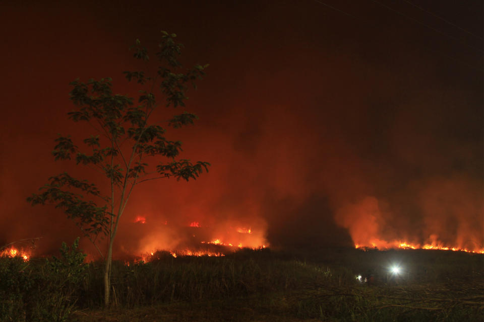 Firefighters attempt to extinguish a fire that razes through a peatland field in Ogan Ilir, South Sumatra, Indonesia, early Friday, Aug. 18, 2023. Forest and land fires in Indonesia are an annual problem that have strained relations with neighboring countries as the smoke from the fires could blanket parts of Singapore, Malaysia and southern Thailand in a thick noxious haze. (AP Photo/Muhammad Hatta)