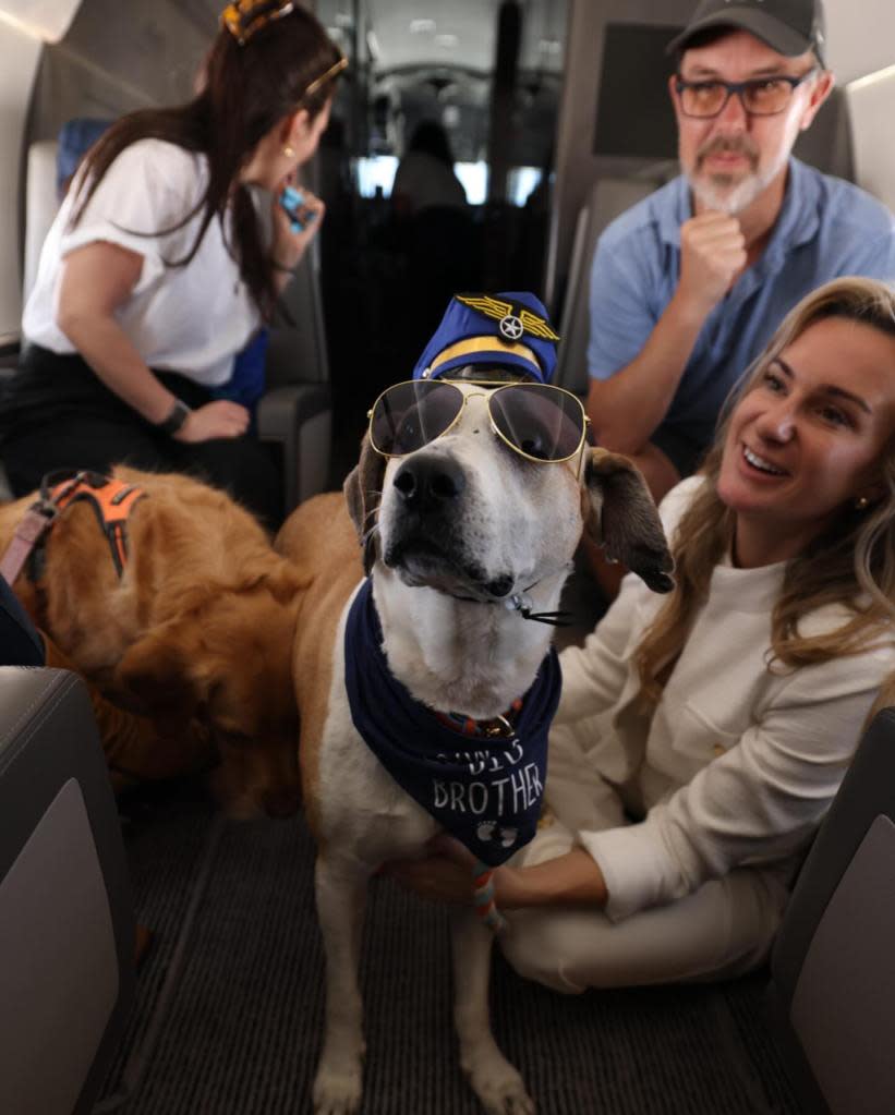 The airline’s first-ever flight departed from New York at 4 p.m. EST Thursday and touched down in Los Angeles. Bark air / Instagram