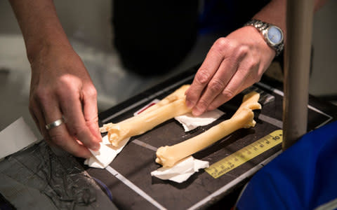 Prof David Gardner setting up radiographs - Credit: University of Nottingham 