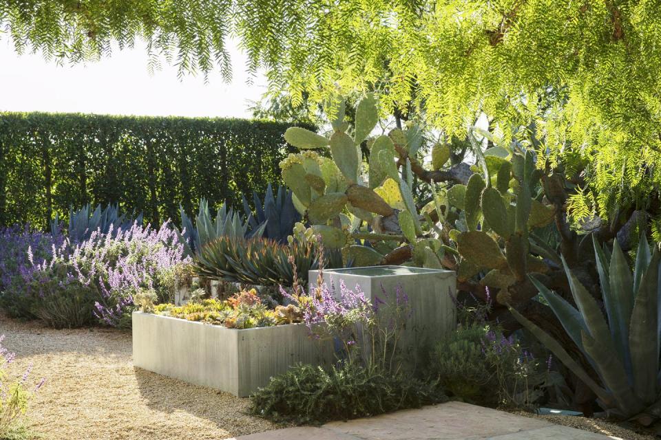 4) A Private Contemporary Garden in Montecito