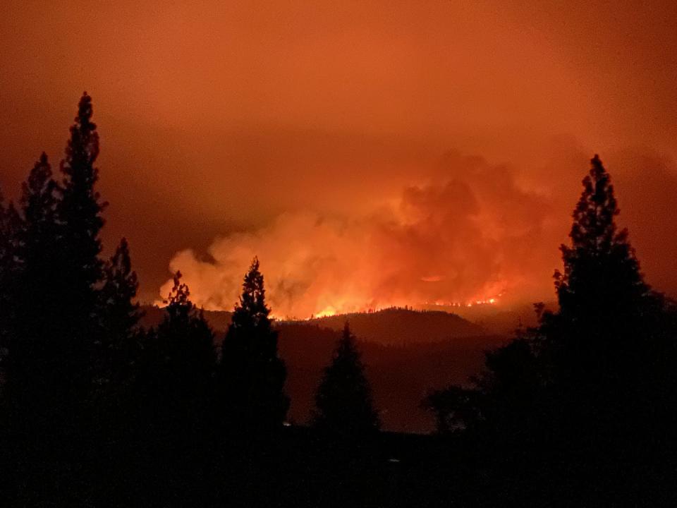 A line of fire on a hillside with trees silhouetted.