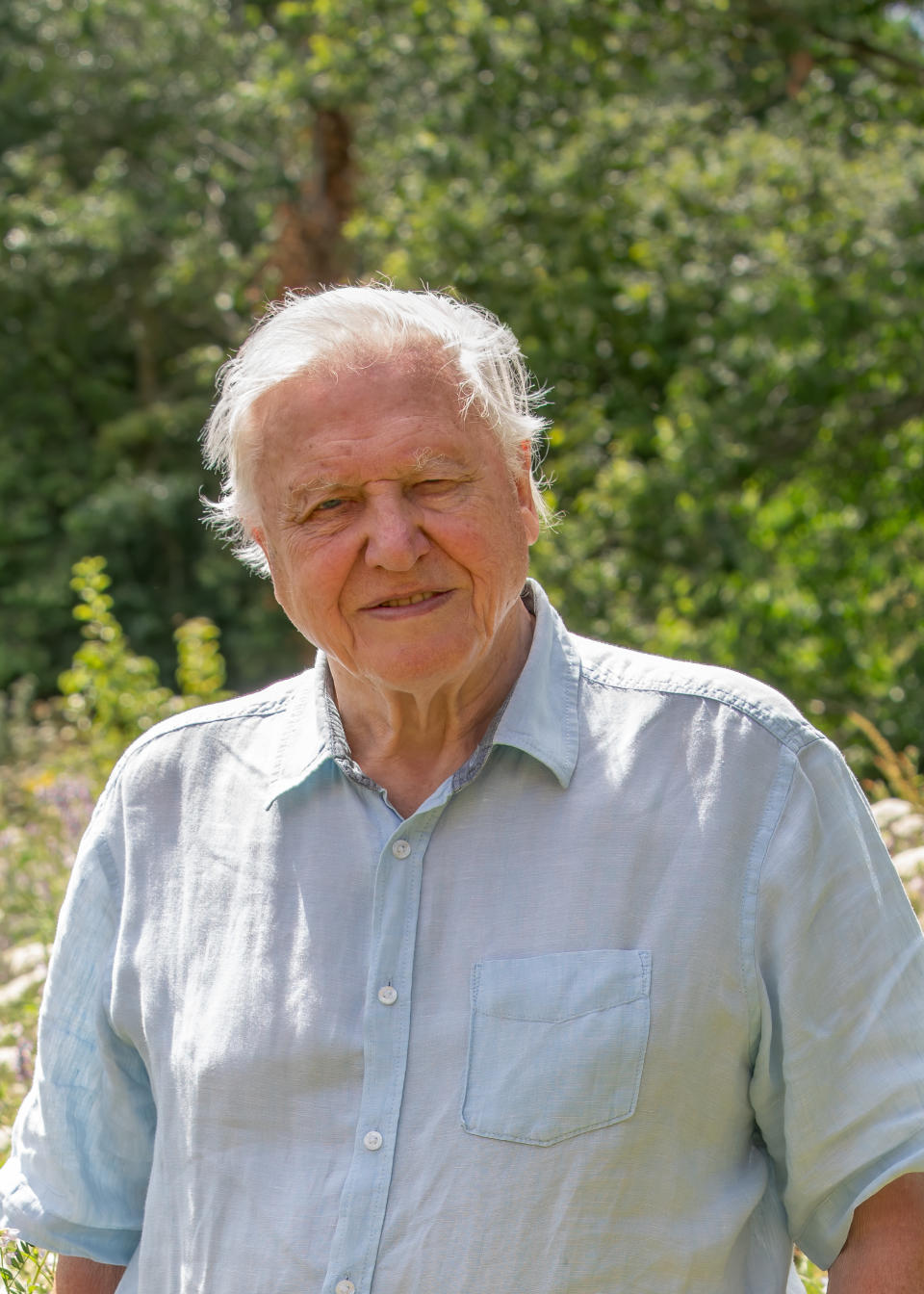 David Attenborough narrates BBC's A Perfect Planet. (Still courtesy of BBC)