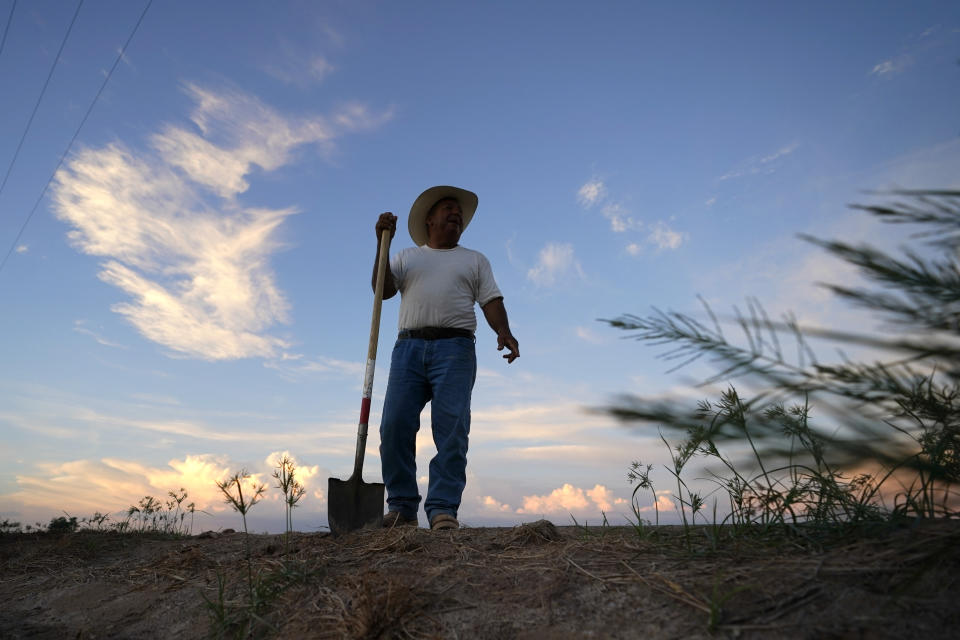 Irrigator Raul Quirarte, 56, pauses during work to prepare a field to receive water from the All-American Canal, Sunday, Aug. 14, 2022, near Brawley, Calif. Quirarte started as an irrigator at the age of 18, taught by his father, who also was an irrigator. (AP Photo/Gregory Bull)