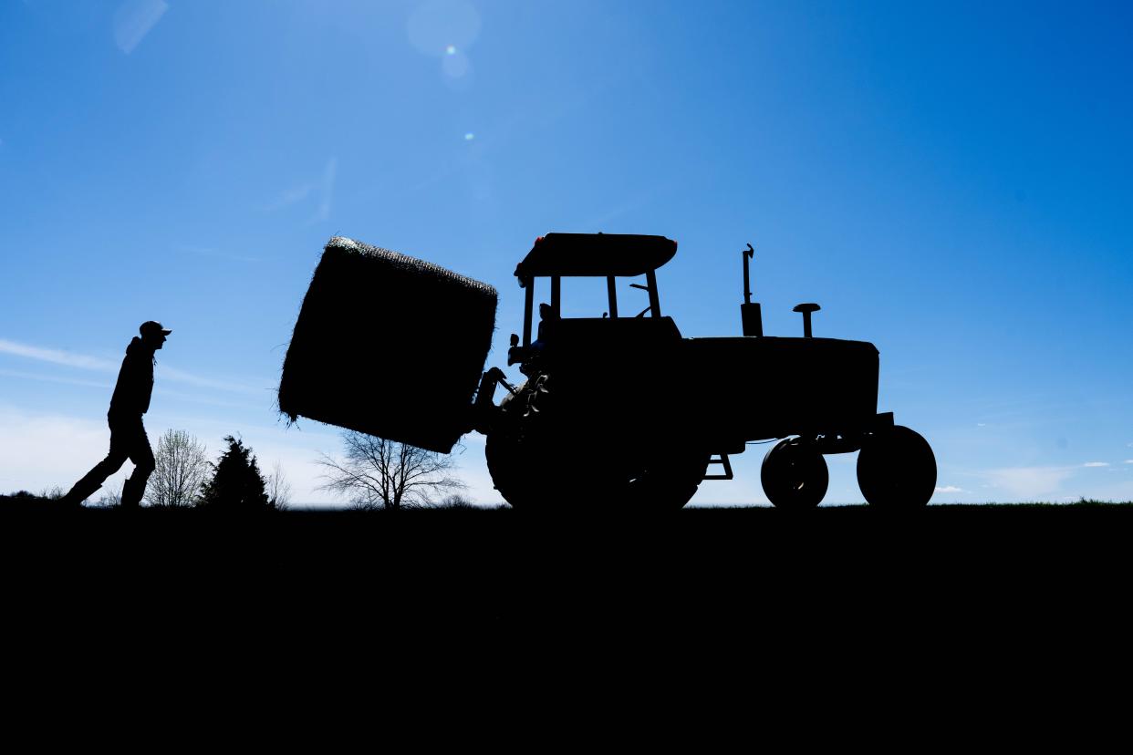 Joseph Fischer brings a round bale to his cattle on March 17, 2024. Fischer is a fourth-generation cattle farmer in Henry County.