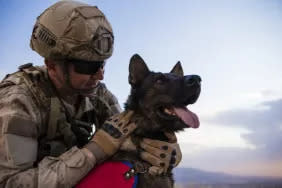 Soldier petting his trained dog. Mexican army puppy school