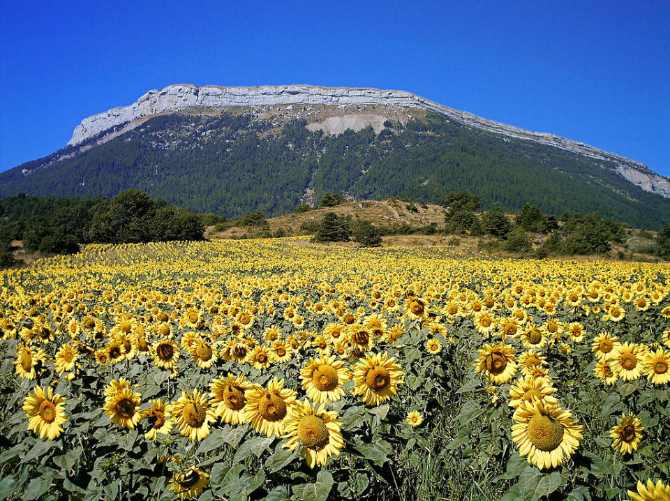 法國塞於斯山 (Photo by Aups, License: CC BY-SA 3.0, Wikimedia Commons提供).