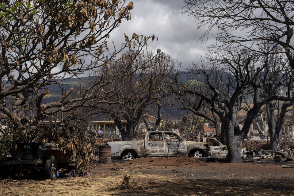 FILE - Charred trees and burned cars are pictured on Malo Street, Monday, Sept. 25, 2023, in Lahaina, Hawaii, following Maui's deadly wildfire. On Friday, Sept. 6, The Associated Press reported on stories circulating online incorrectly claiming thousands of children are missing following the deadly wildfires in Maui. (AP Photo/Mengshin Lin, File)