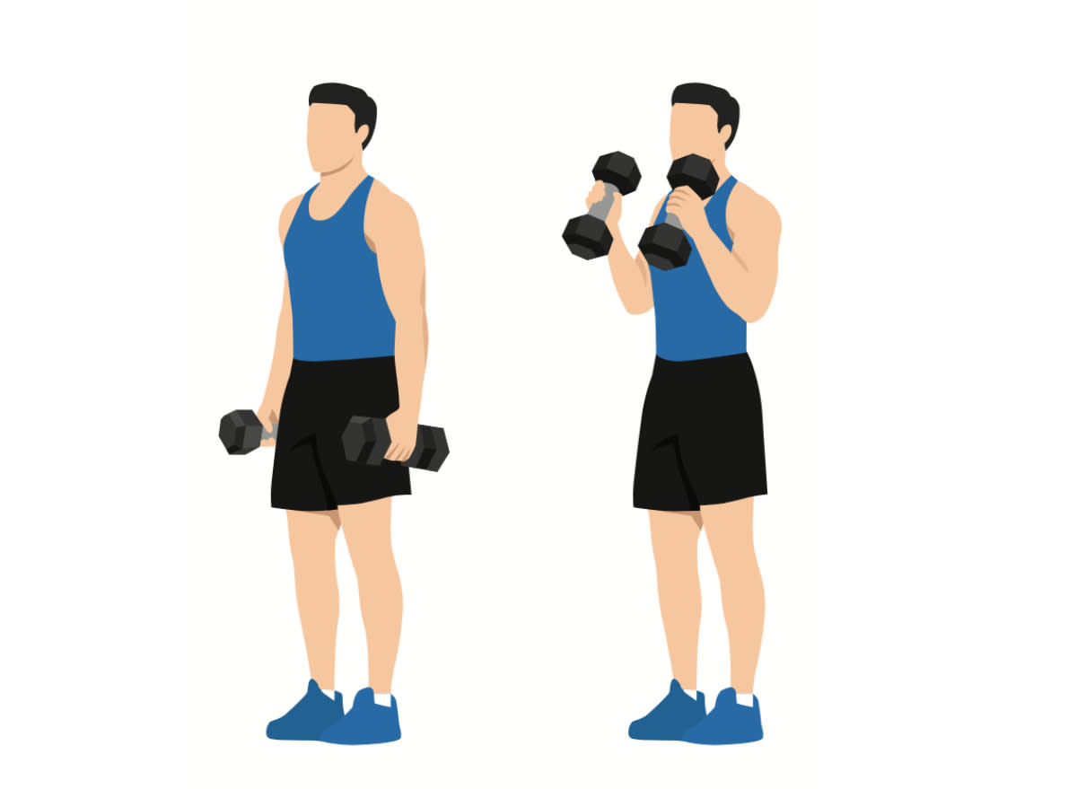 illustration of bicep hammer curls