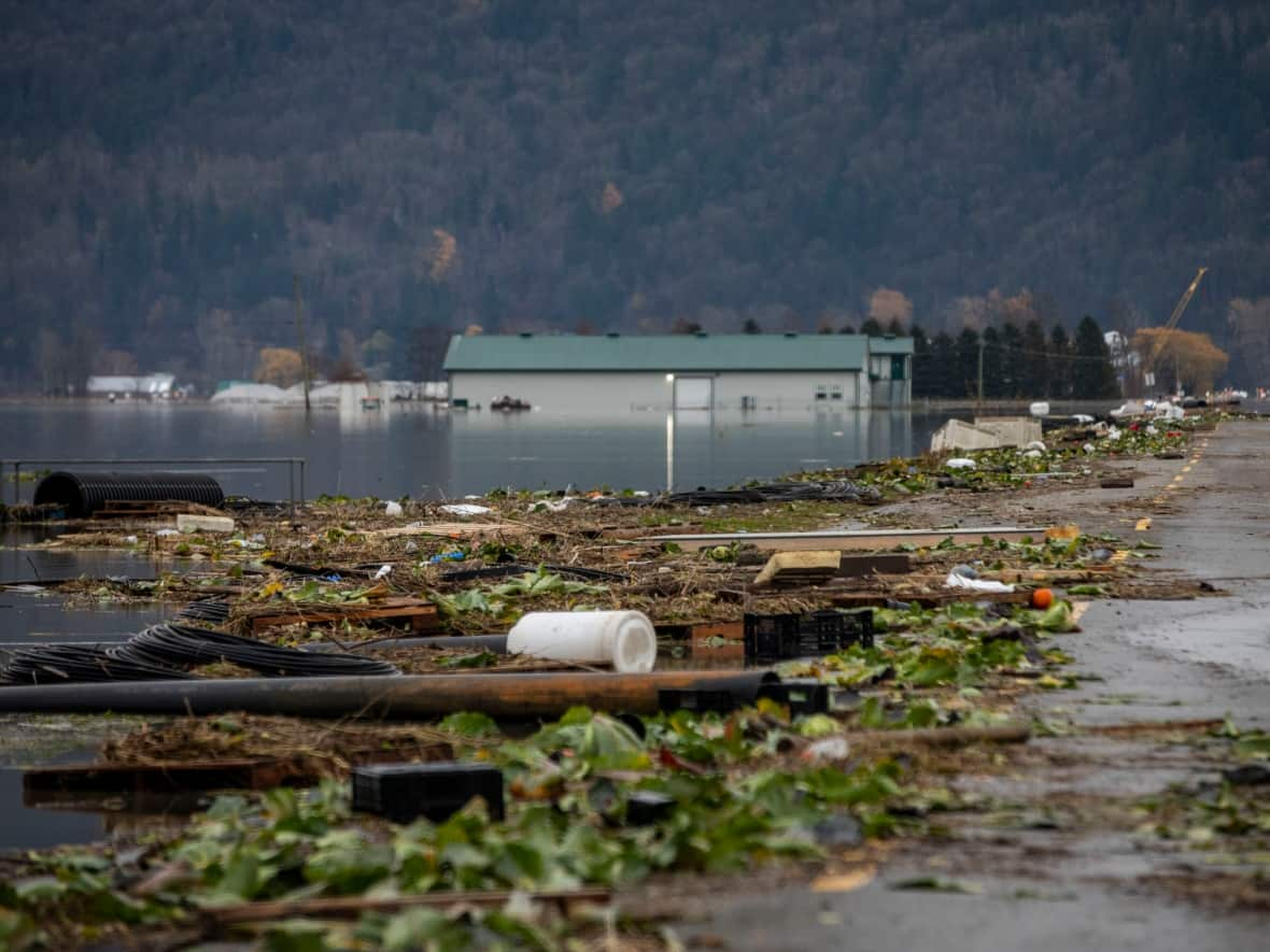 Debris litters a road in the Sumas Prairie flood zone in Abbotsford, B.C., on Monday, Nov. 22. (Ben Nelms/CBC - image credit)