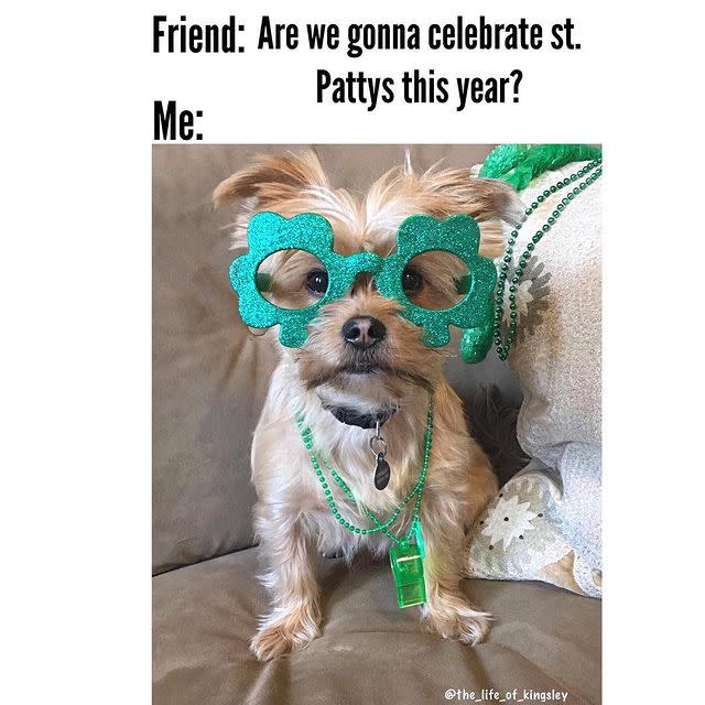 The Very Best St. Patrick's Day Memes To Help You Celebrate