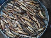 River fish -- both fresh and dried -- are a big part of the diet of Manipur's Meitei people, who are Hindus and do not eat pork or beef.