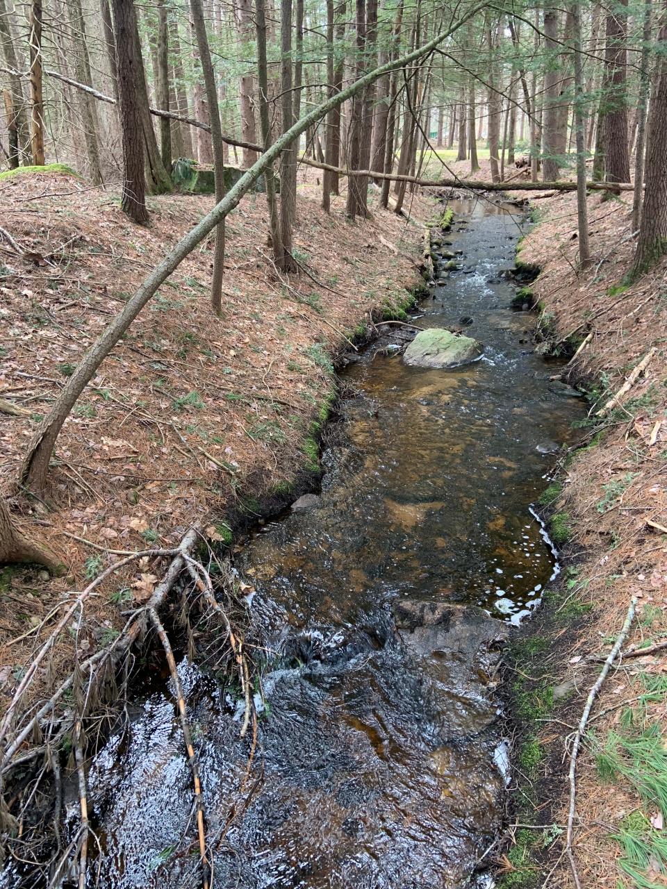 The Massachusetts Department of Conservation and Recreation has announced the reopening of Otter River State Forest in Baldwinville. The area had been closed to the public while crews cleaned up damage from a late-season snowstorm.